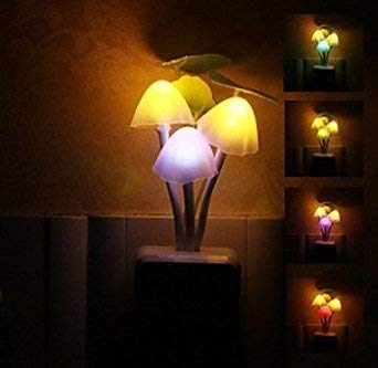 MAPPERZ Mushroom Shape Magic Night Light Lamp/Smart Night Bulb with Plug for Bedroom, Home Decoration (Pack of 1)