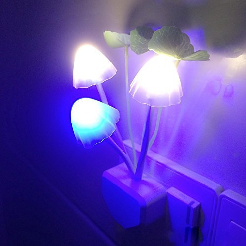 MAPPERZ Mushroom Shape Magic Night Light Lamp/Smart Night Bulb with Plug for Bedroom, Home Decoration (Pack of 1)