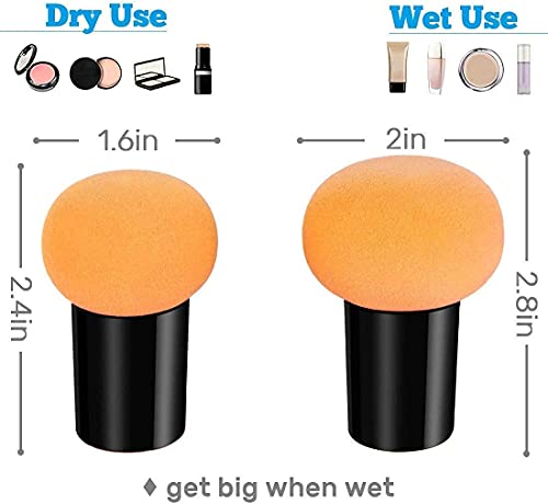 Mapperz Powder Puff Cosmetic Sponges Mushroom Makeup Brushes Blender Sponge Face Brush Makeup Puff with Handle Case for Dry Wet Use Liquid, Creams, and Powders (Multi Colour)