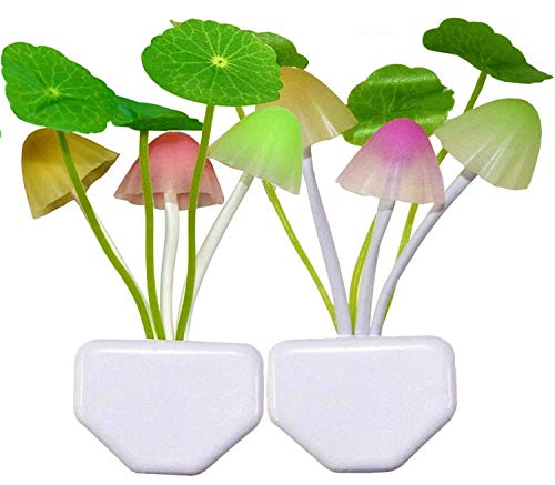 MAPPERZ Mushroom Shape Magic Night Light Lamp/Smart Night Bulb with Plug for Bedroom, Home Decoration (Pack of 1)