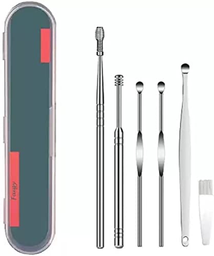 MAPPERZ ear cleaning tool/ear wax cleaner/Ear Scoop Picking Tool Stainless Steel / 6 Piece Ear Cleaner Tool/Ear Curette Safety Cleaner with Brush and Storage Box - Set of 6 (Silver)