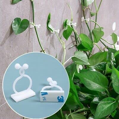 MAPPERZ Plant Climbing Wall Fixing Clip Hook/ Indoor Cable Tie Clip/ Self Adhesive Hook for Wires Cables Vine Branches Plant Climbing Support Clip , Set of 30
