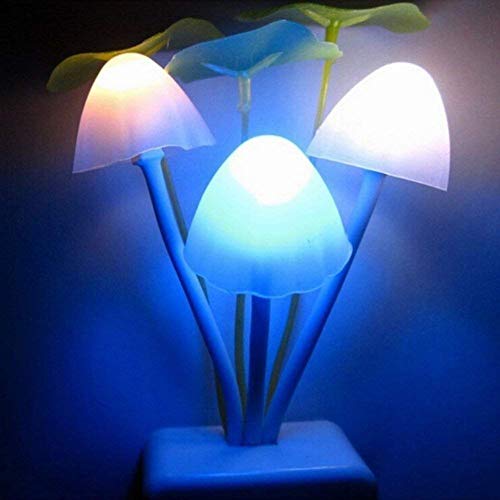 MAPPERZ Mushroom Shape Magic Night Light Lamp/Smart Night Bulb with Plug for Bedroom, Home Decoration (Pack of 1)