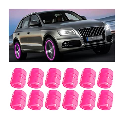 MAP-RADIUM-VALVE-PINK-PC8