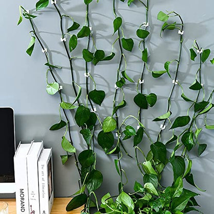 MAPPERZ Plant Climbing Wall Fixing Clip Hook/ Indoor Cable Tie Clip/ Self Adhesive Hook for Wires Cables Vine Branches Plant Climbing Support Clip , Set of 30
