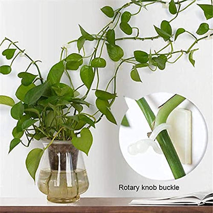 MAPPERZ Plant Climbing Wall Fixing Clip Hook/ Indoor Cable Tie Clip/ Self Adhesive Hook for Wires Cables Vine Branches Plant Climbing Support Clip , Set of 30