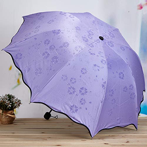 MAP-MAGIC-UMBRELLA
