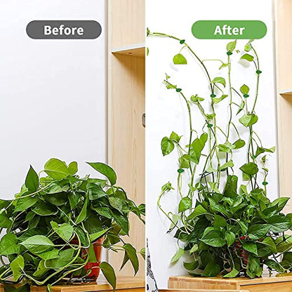 MAPPERZ Plant Climbing Wall Fixing Clip Hook/ Indoor Cable Tie Clip/ Self Adhesive Hook for Wires Cables Vine Branches Plant Climbing Support Clip , Set of 30