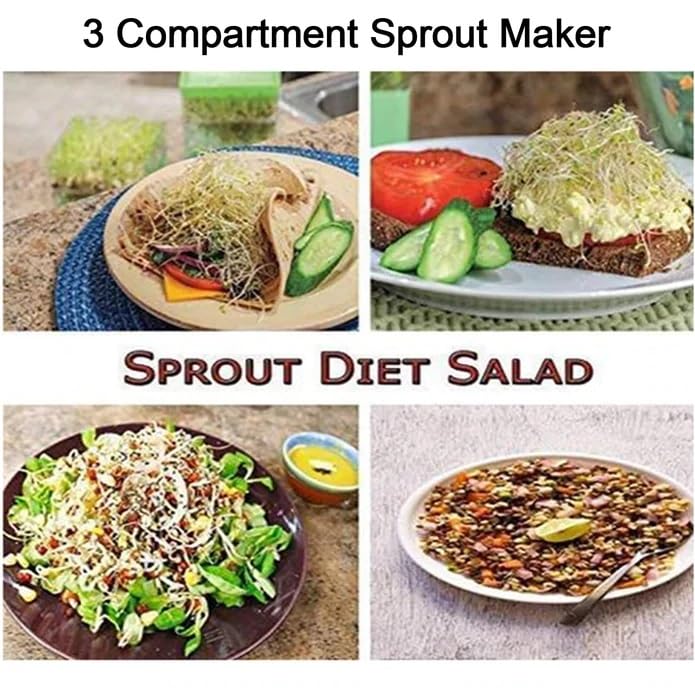 MAPPERZ Sprout Maker Box Hygienic Sprout Maker with Container Home Making Fresh Sprouts Beans for Living Healthy Life Sprout Maker