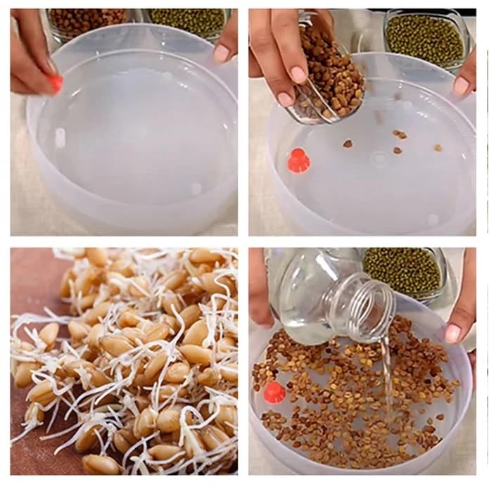 MAPPERZ Sprout Maker Box Hygienic Sprout Maker with Container Home Making Fresh Sprouts Beans for Living Healthy Life Sprout Maker